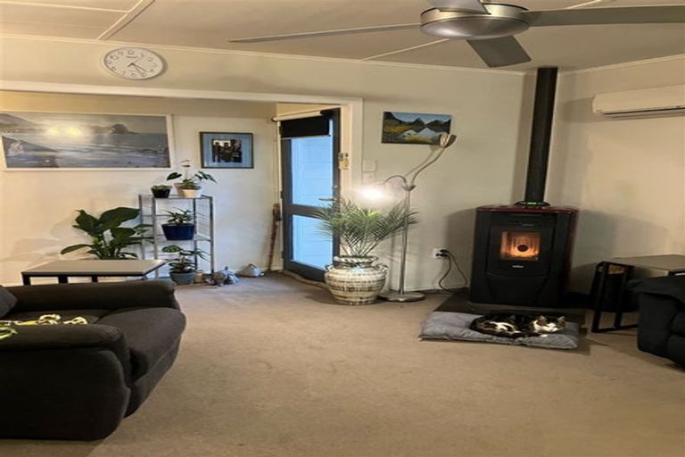 Photo of property in 14 Cross Street, Milton, 9220