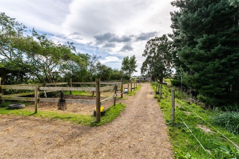 Photo of property in 191 Duncan Road, Hampden, 9410