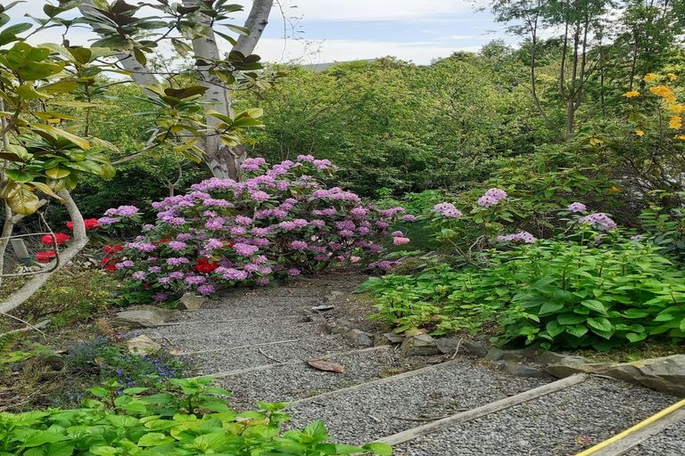 Photo of property in 20 Chaucer Street, Highfield, Timaru, 7910