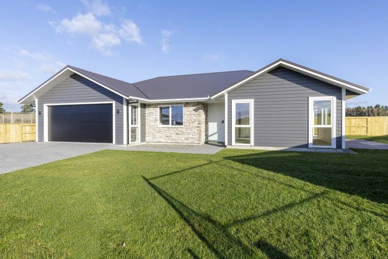 Photo of property in 8 Neinei Place, Wharewaka, 3330