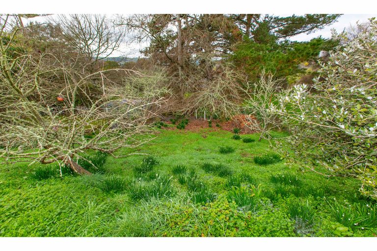 Photo of property in 27 Ailsa Street, Te Kuiti, 3910