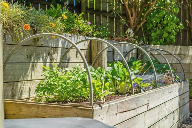 Photo of property in 3 The Masthead, Whitby, Porirua, 5024