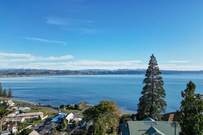 Photo of property in 33a Seapoint Road, Bluff Hill, Napier, 4110