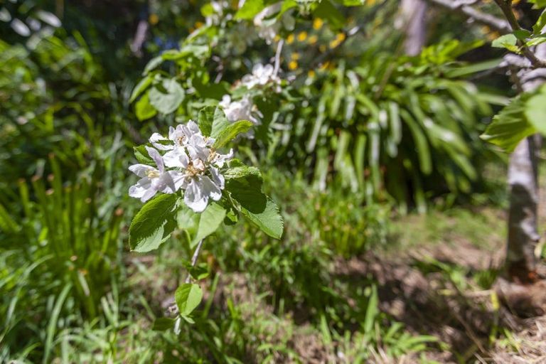 Photo of property in 54 Matai Road, Raumati South, Paraparaumu, 5032