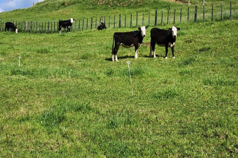 Photo of property in 133 Kaimata Road, Kaimata, Inglewood, 4390