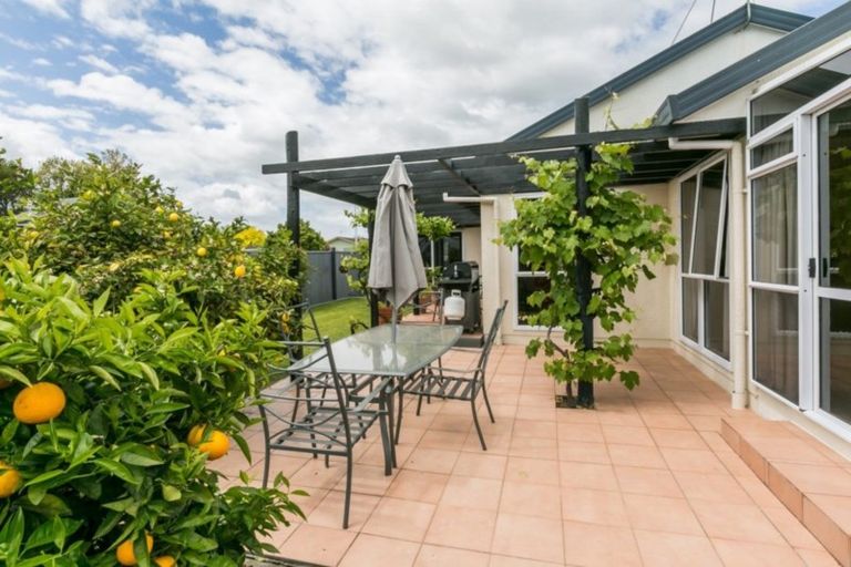 Photo of property in 61a Napier Road, Havelock North, 4130