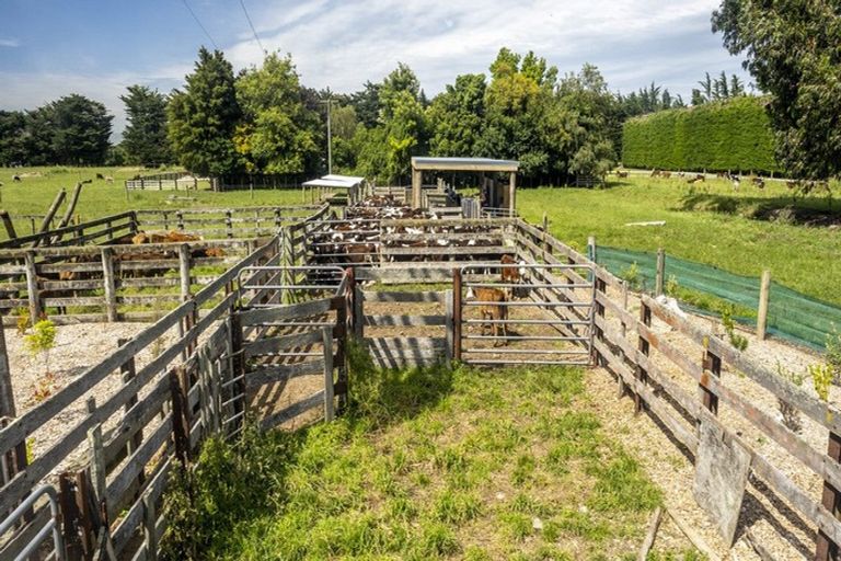 Photo of property in 255 No 1 Line, Tauwharenikau, Tauherenikau, 5771