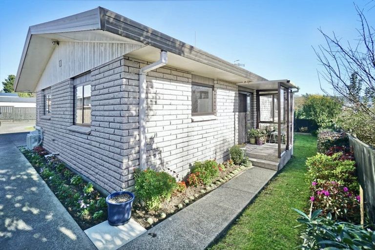 Photo of property in 5d Cameron Road, Te Puke, 3119