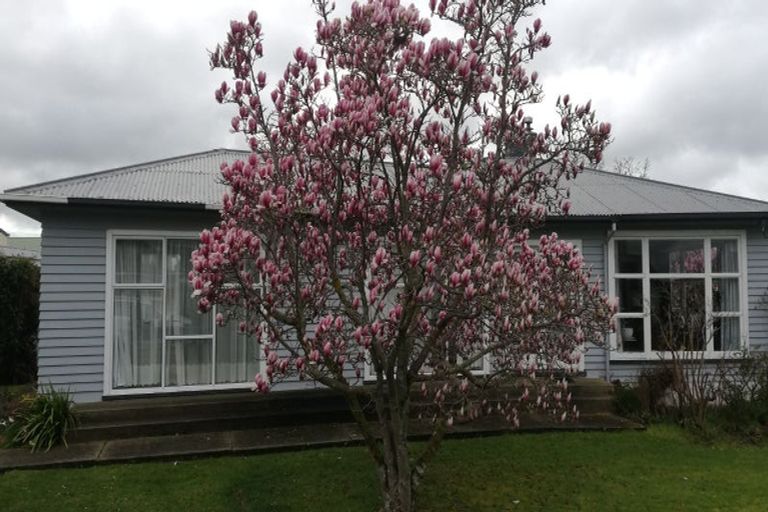 Photo of property in 15 Rugby Street, Waimate, 7924