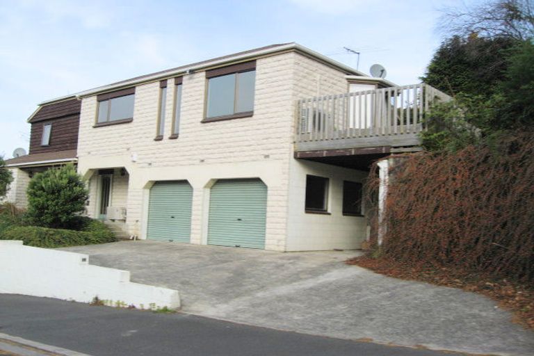 Photo of property in 36 Littlebourne Road, Roslyn, Dunedin, 9010