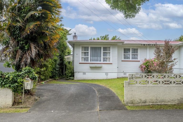 Photo of property in 3 Churchill Street, Levin, 5510