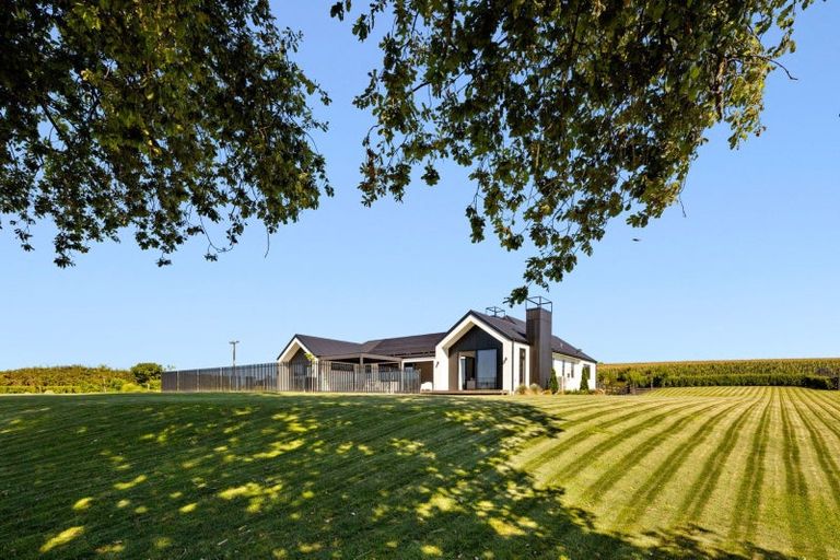 Photo of property in 141 Bank Road, Te Awamutu, Ohaupo, 3883
