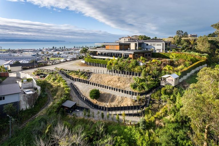 Photo of property in 31 Hospital Terrace, Hospital Hill, Napier, 4110