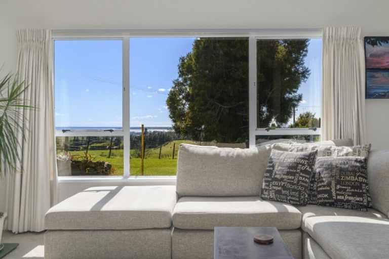 Photo of property in 87 Ross Road, Whakamarama, Tauranga, 3179