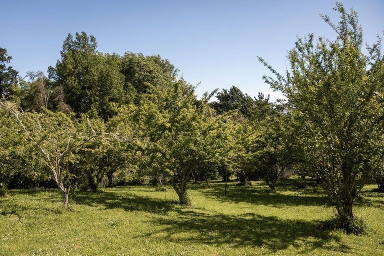 Photo of property in 22a Ngati Maru Sh25 Highway, Kopu, Thames, 3578