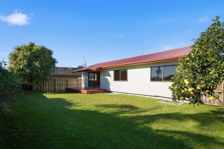 Photo of property in 13b Sunrise Avenue, Mount Maunganui, 3116