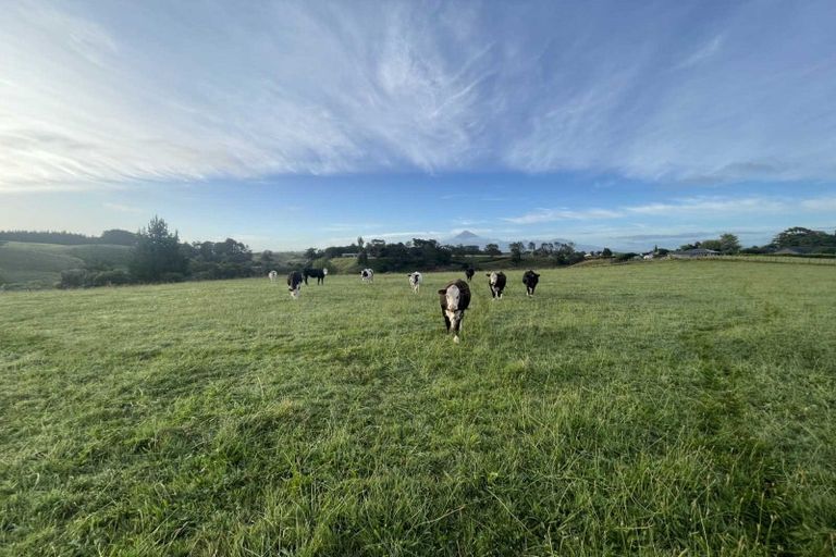 Photo of property in 187 Smart Road, Hillsborough, New Plymouth, 4372