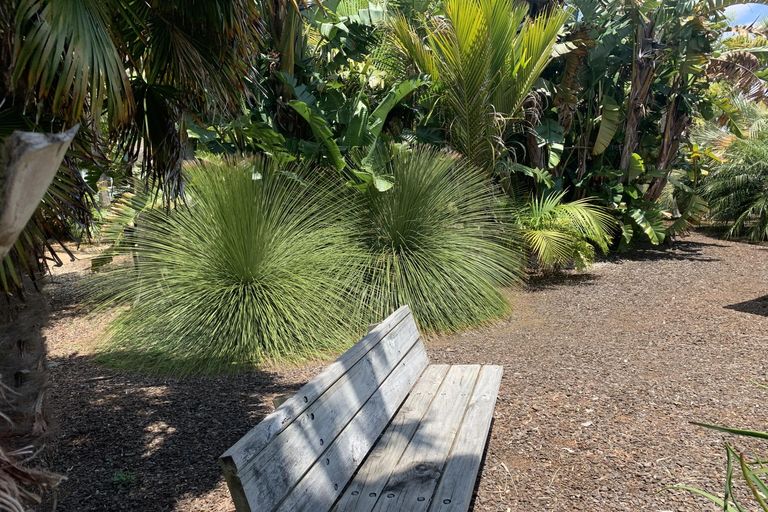 Photo of property in 17 Karaka Drive, Kerikeri, 0230