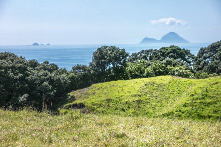 Photo of property in 693 State Highway 2 West, Pikowai, Whakatane, 3194