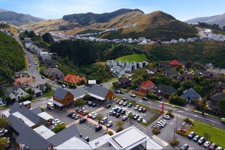 Photo of property in 60 Rochdale Drive, Churton Park, Wellington, 6037