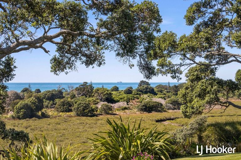 Photo of property in 153 Koutunui Road, Athenree, Katikati, 3177