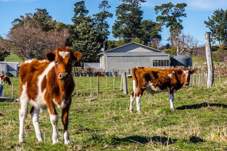 Photo of property in 76330 State Highway 2, Matamau, Dannevirke, 4977