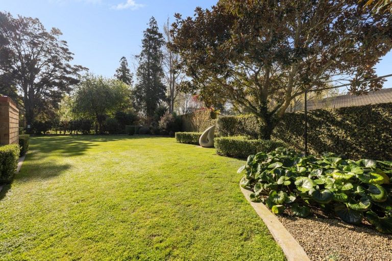 Photo of property in 41bc Burwood Road, Matamata, 3400