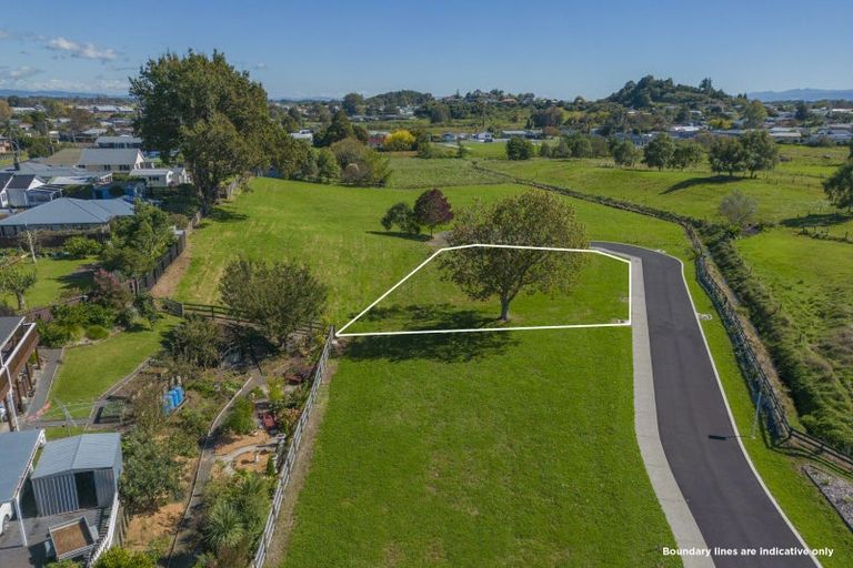Photo of property in 3 Double Oaks Drive, Paeroa, 3600