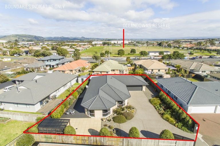 Photo of property in 8 Lasiandra Place, Mount Maunganui, 3116