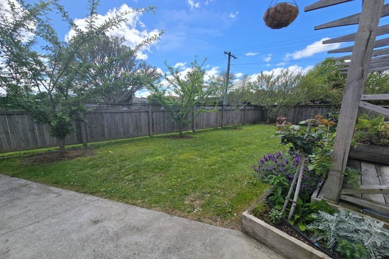 Photo of property in 124 Albert Street, Hamilton East, Hamilton, 3216