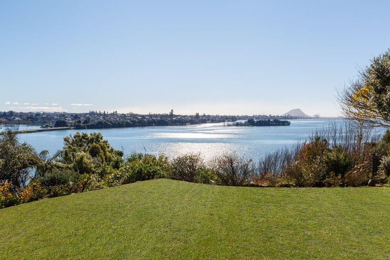Photo of property in 17 Tutauanui Crescent, Maungatapu, Tauranga, 3112