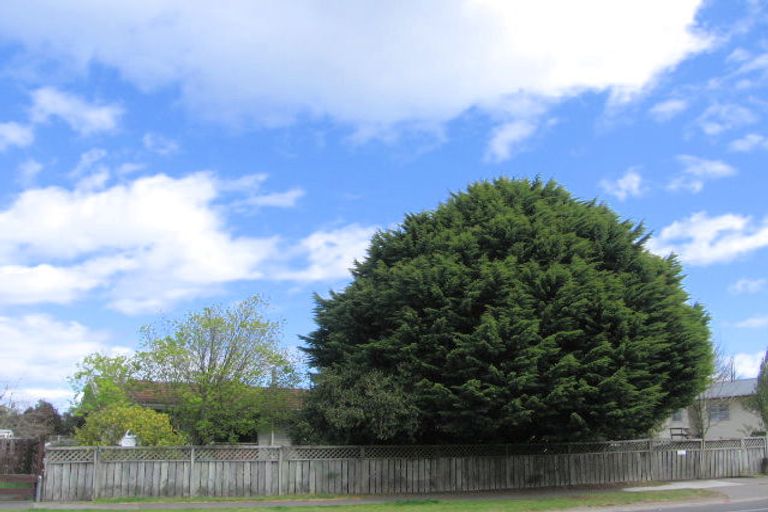 Photo of property in 107 Tamatea Road, Taupo, 3330