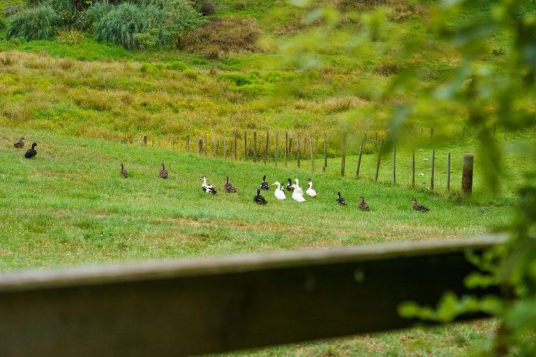 Photo of property in 2352 River Road, Horsham Downs, Hamilton, 3281