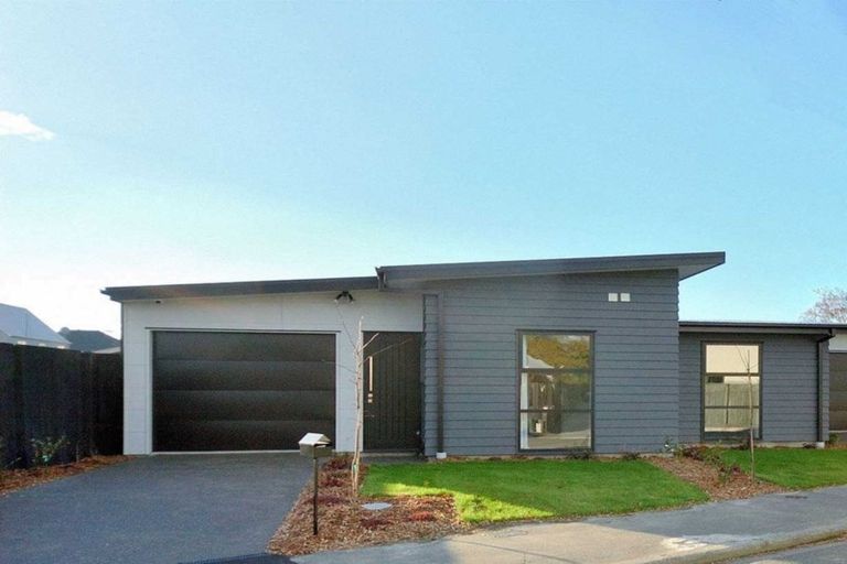 Photo of property in 17 Vogel Street, Richmond, Christchurch, 8013