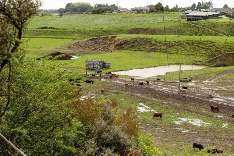 Photo of property in 73 Norm Freeman Drive, Te Puke, 3119