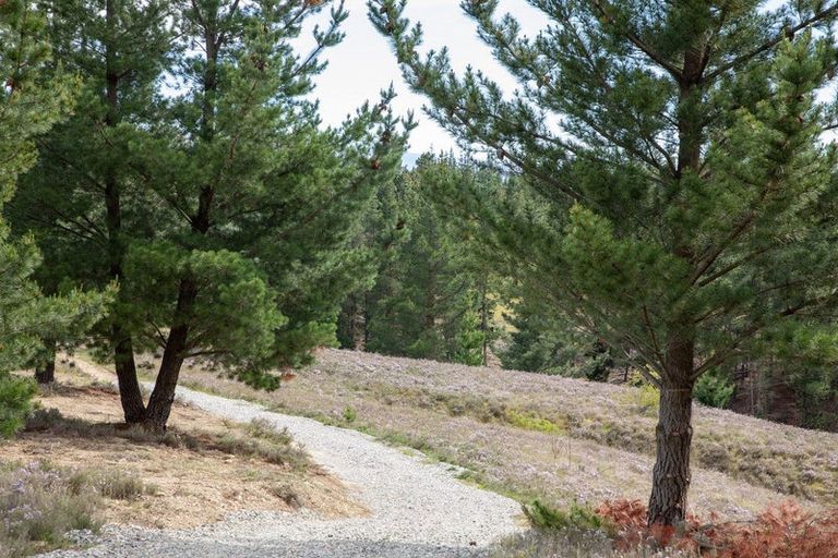 Photo of property in 92a Gilligans Gully Road, Alexandra, 9320