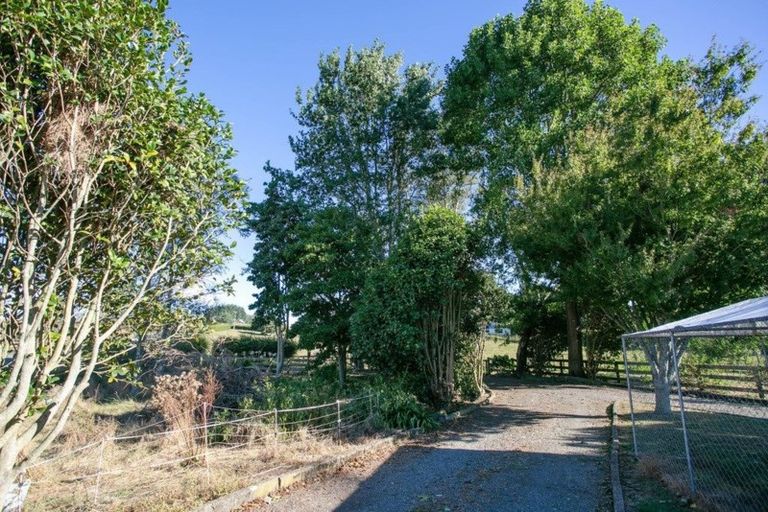 Photo of property in 429 Morgan Road, Matamata, 3472
