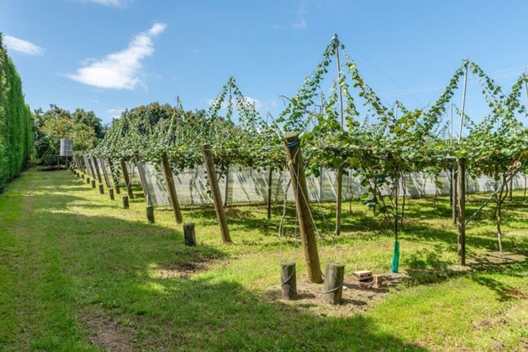 Photo of property in 154b Wairoa Road, Minden, Tauranga, 3171