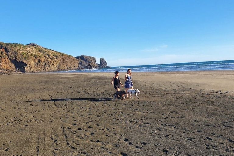 Photo of property in 60 Manarini Road, Westgate, Auckland, 0614