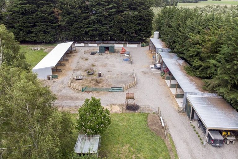 Photo of property in 255 No 1 Line, Tauwharenikau, Tauherenikau, 5771