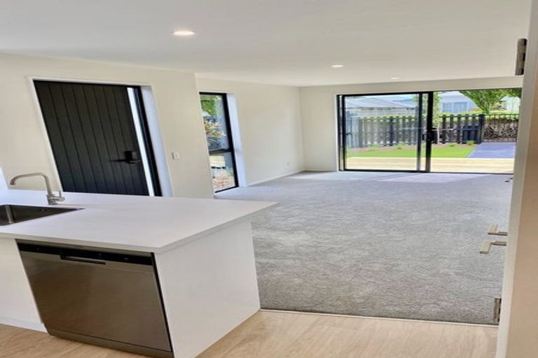 Photo of property in 1/18 Cross Street, Phillipstown, Christchurch, 8011