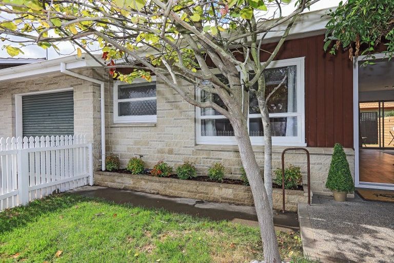 Photo of property in 2/707 York Street, Mahora, Hastings, 4120