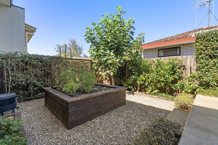 Photo of property in 2/183 Edgecumbe Road, Tauranga South, Tauranga, 3112