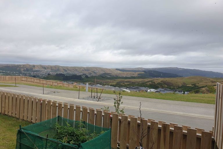 Photo of property in 10 Astelia Way, Woodridge, Wellington, 6037