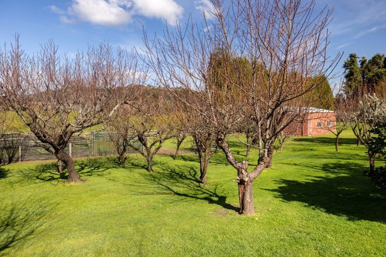 Photo of property in 19 Minden Road, Minden, Tauranga, 3176