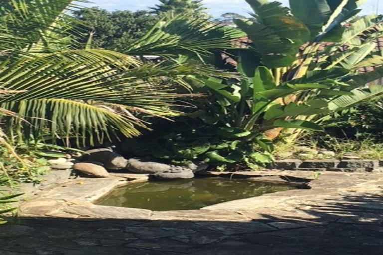 Photo of property in 37 Robin Brooke Drive, Flat Bush, Auckland, 2019