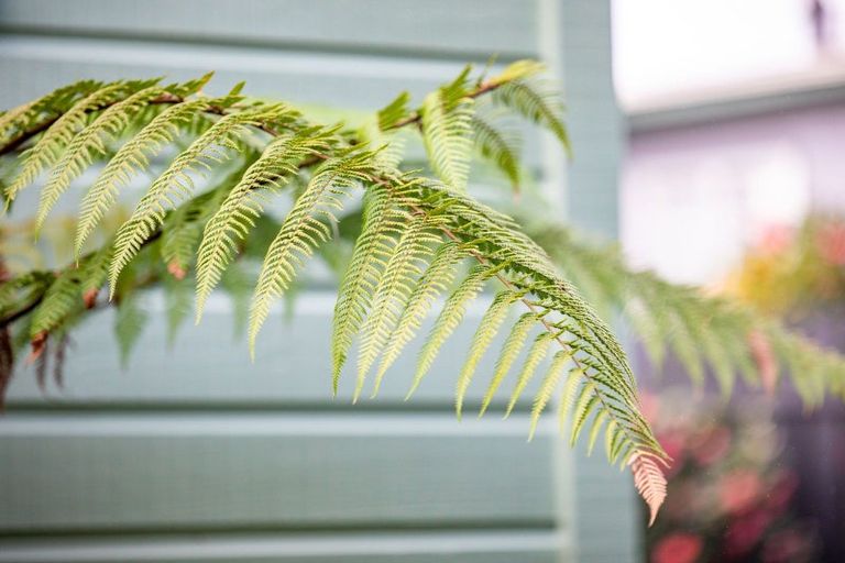 Photo of property in 90a Bader Street, Bader, Hamilton, 3206