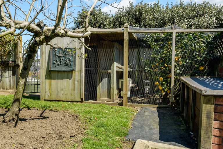 Photo of property in 50 La Colina Place, Bethlehem, Tauranga, 3110