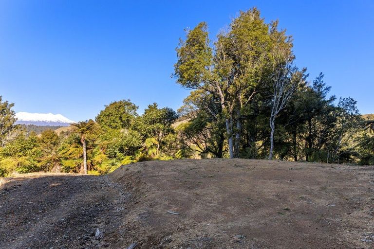 Photo of property in 3520 State Highway 4, Raurimu, 3989