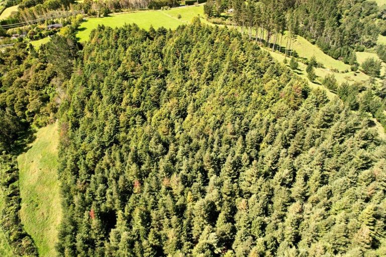 Photo of property in 262 Wainui Road South, Whakamarama, Katikati, 3181